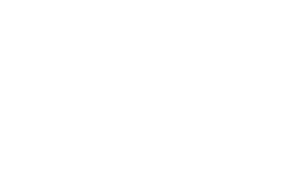 Fossati Water Systems logo